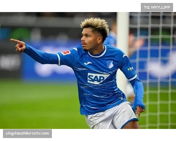 霍芬海姆迎队史最佳赛季 进攻线47球与多特并列联赛第二